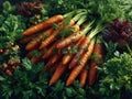 A bunch of carrots sitting on top of a table Royalty Free Stock Photo