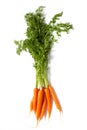 Bunch Of Carrots - Stock Photo