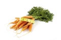 Bunch of Carrots with Tape Measure