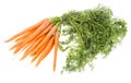 Bunch of Carrots on white Royalty Free Stock Photo