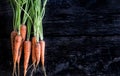 Bunch of carrots on the wooden background, freshly picked. Space for text