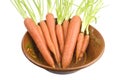 Bunch of carrotts in a bowl Royalty Free Stock Photo