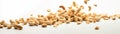 A Bunch Of Cashews Flying In The Airon White Background Wde Panoramic. Generative AI