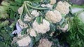 a bunch of cauliflower vegetables at the Indonesian Ngoro market Royalty Free Stock Photo