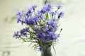 Bunch of centaurea flowers