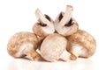 A bunch of champignon mushrooms on white background