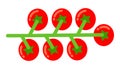 Bunch of cherry tomatoes flat icon vector isolated Royalty Free Stock Photo