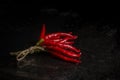Bunch of chilli pepper on old worn iron rusty tray Royalty Free Stock Photo