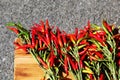 Bunch of chillies Royalty Free Stock Photo