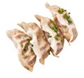 Bunch of chinese gyoza isolated on a white background