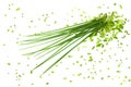 Bunch chives Royalty Free Stock Photo