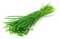 a bunch of chives isolated on white background