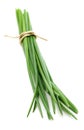 Bunch chives Royalty Free Stock Photo