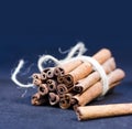 Bunch of cinnamon stick Royalty Free Stock Photo