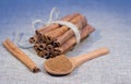 Bunch of cinnamon stick Royalty Free Stock Photo