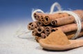 Bunch of cinnamon stick Royalty Free Stock Photo