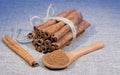 Bunch of cinnamon stick Royalty Free Stock Photo