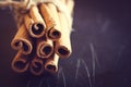 Bunch of cinnamon sticks on black background. Royalty Free Stock Photo