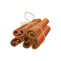 Bunch of cinnamon sticks tied with rope. Oriental spice. Aromatic seasoning for dishes and drinks. Detailed vector