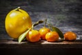 Bunch of Citruses In Sharp Light on Shelf2 Royalty Free Stock Photo