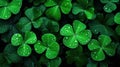 Bunch of clover leafs surrounded by drops of rain water. Generative AI Royalty Free Stock Photo