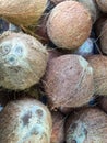 Bunch of Coco Nuts Royalty Free Stock Photo