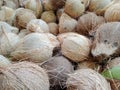 A bunch of coconuts in a box Royalty Free Stock Photo