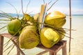 Bunch of coconuts on tropical island