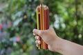 Bunch of colored pencil in hands. Blurry green garden background. Copy space. Royalty Free Stock Photo