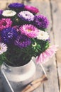 Bunch of colorful asters in old milk can, vintage effect