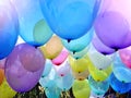 A bunch of colorful balloons ready to fly into the sky Royalty Free Stock Photo