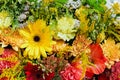 Bunch of colorful flowers. Topv iew Royalty Free Stock Photo