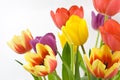 Bunch of colorful tulips Royalty Free Stock Photo