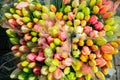 Bunch of colorful tulips selling in the flower market