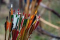 Bunch colourful of bow arrows for archery. Archer competition, shooting at target Royalty Free Stock Photo