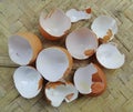 A bunch of Cracked eggshell