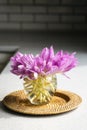 Bunch of crocus flowers in a glass vase in the kitchen. Royalty Free Stock Photo