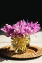 Bunch of crocus flowers in a glass vase in the kitchen. Royalty Free Stock Photo