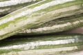 Bunch of cucumber wrapped in plastic films Royalty Free Stock Photo