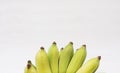 Bunch of Cultivated bananas or Thai bananas on white wooden background. Royalty Free Stock Photo