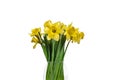 Bunch of Daffodils in vase. Easter and spring cut flowers. Royalty Free Stock Photo