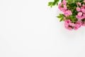 Bunch of daisy pink rose flowers on top right corner on white background. Minimal flat lay style composition, top view, overhead