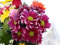 Bunch of deep pink Gerbera Daisy flowers.