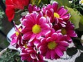 Bunch of deep pink Gerbera Daisy flowers.