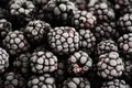 Bunch of frozen blackberries close up Royalty Free Stock Photo