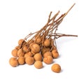 A bunch delicious longan on white background