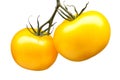 Bunch of yellow tomatoes isolated on white background Royalty Free Stock Photo