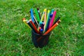 Bunch of different colored pencil crayons in a steel jar placed in fresh green grass Royalty Free Stock Photo