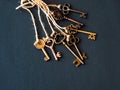 A bunch of different old keys from different locks. Finding the right key, encryption, concept.