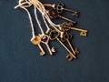 A bunch of different old keys from different locks. Finding the right key, encryption, concept. Royalty Free Stock Photo